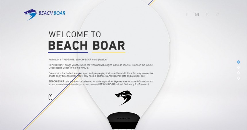 Beach Boar