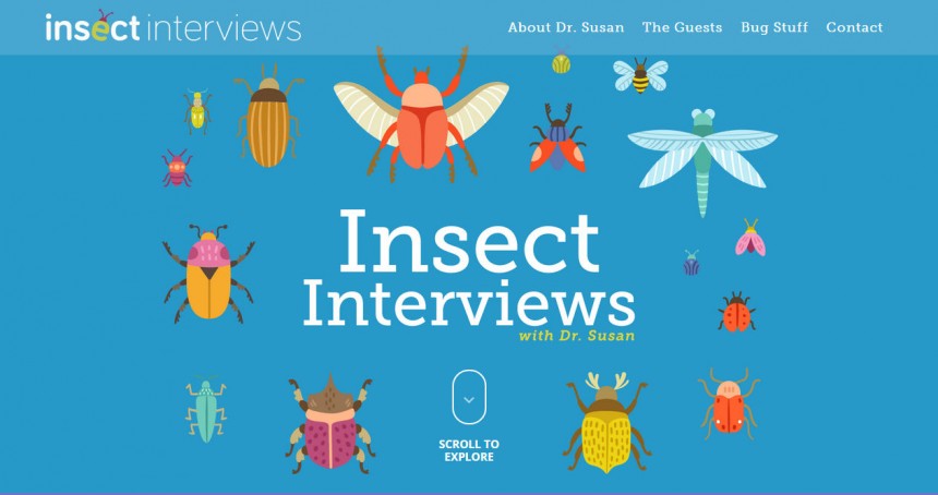 Insect Interviews
