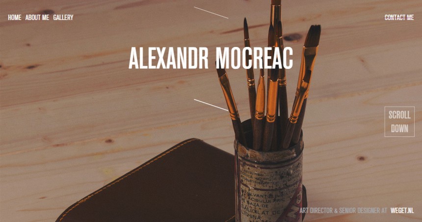 Alexandr Mocreac Portfolio