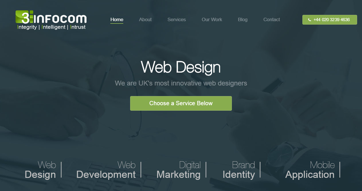 3i Infocom-Web Design & Digital Marketing Company