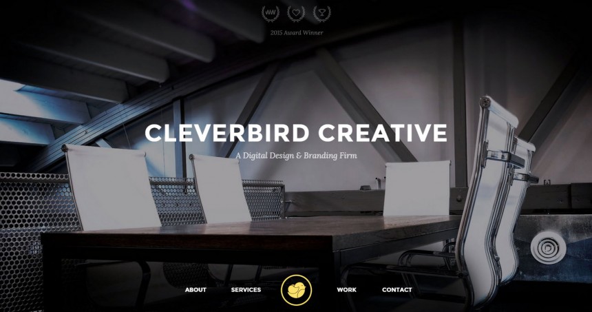 Clever Birds