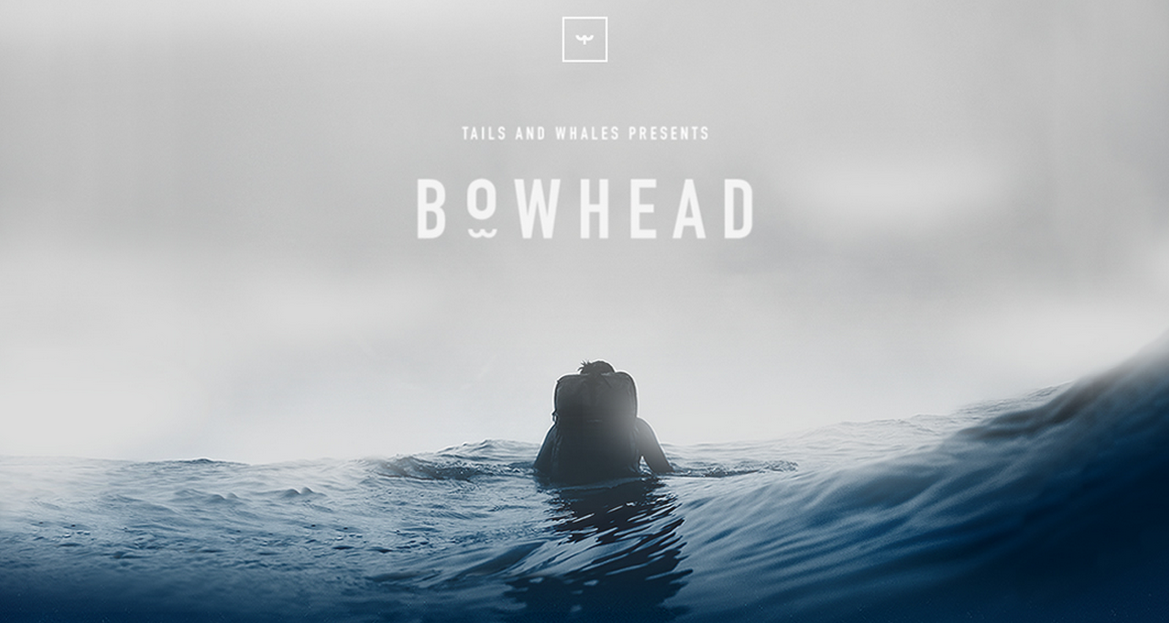 Bowhead by Tails And Whales