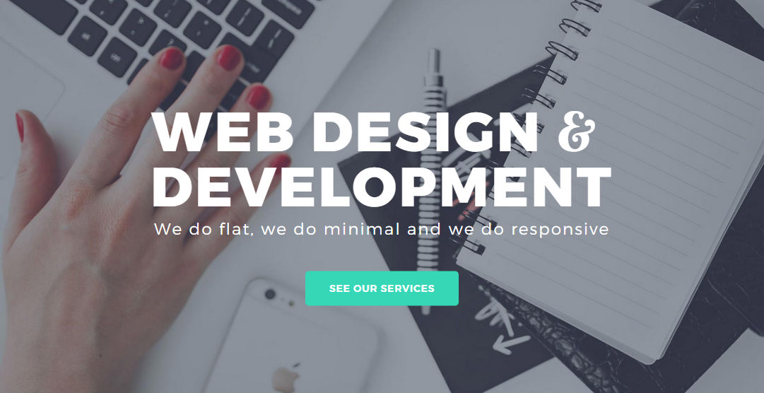 TACO Web Design Studio: Web Design and UX Design