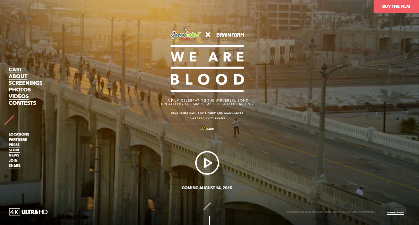 We Are Blood — SkateBoarding