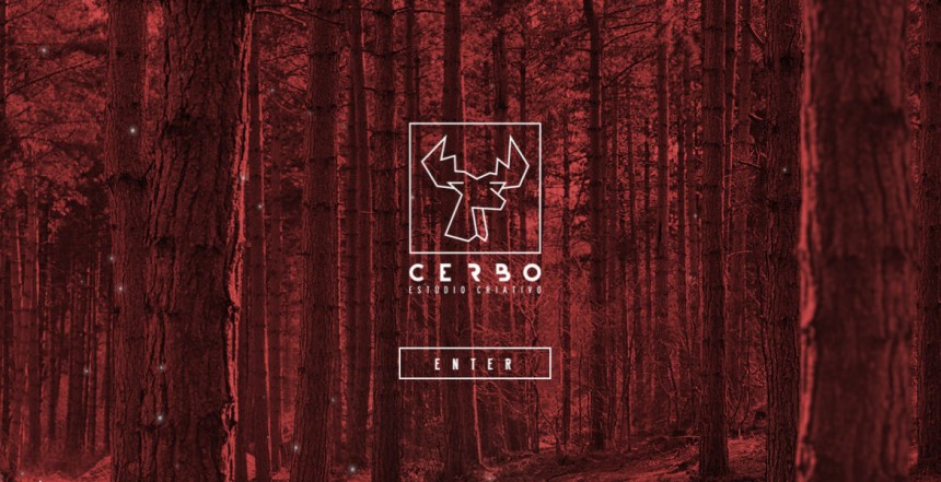 Cerboe Studio