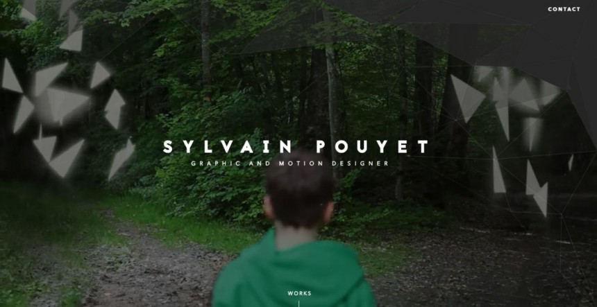 Sylvain Pouyet