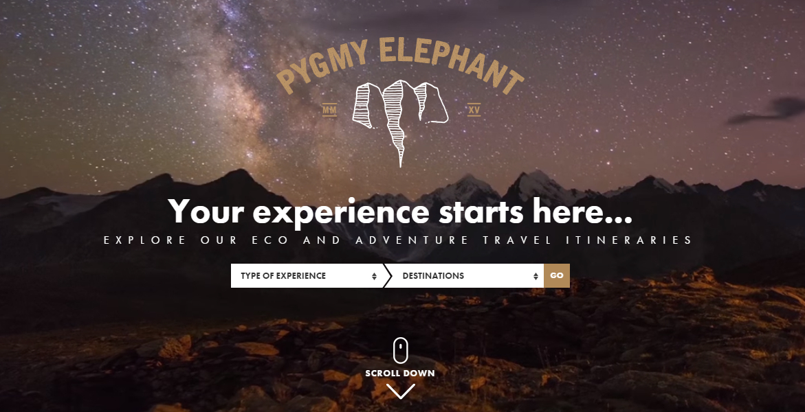 Pygmy Elephant Travel Agency