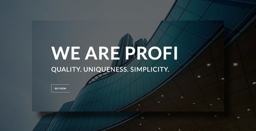 Profi WP – Business and Professional WordPress theme