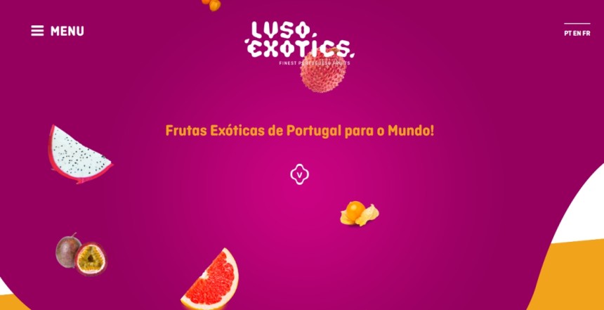 Lusoexotics