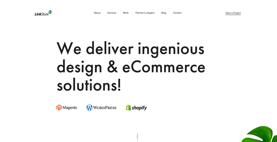 LinkSture-eCommerce-Agency