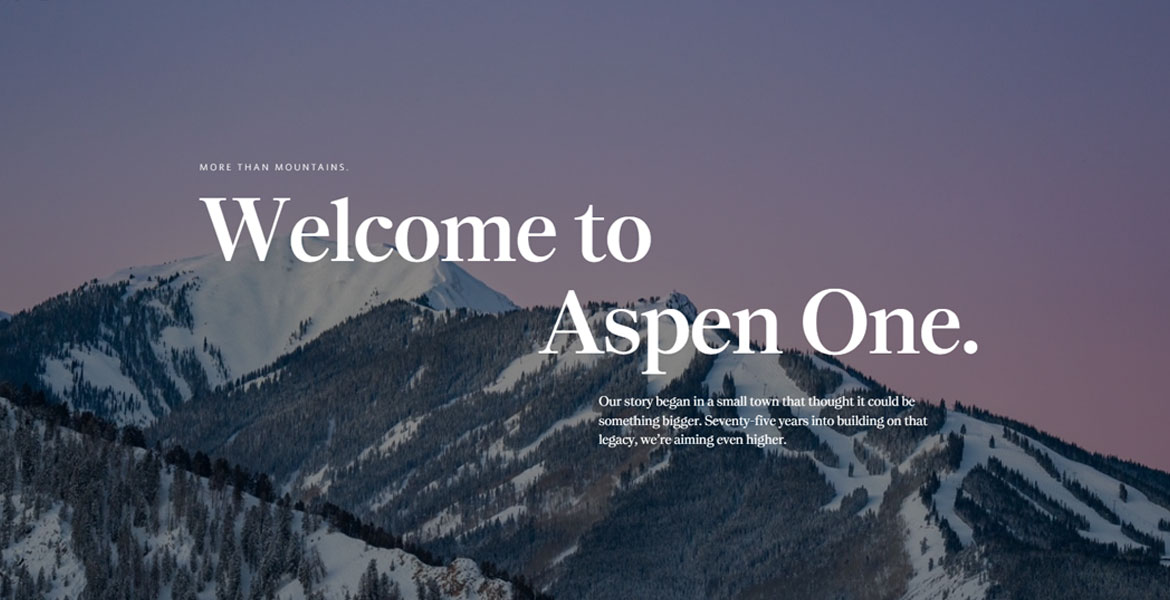 aspen-one